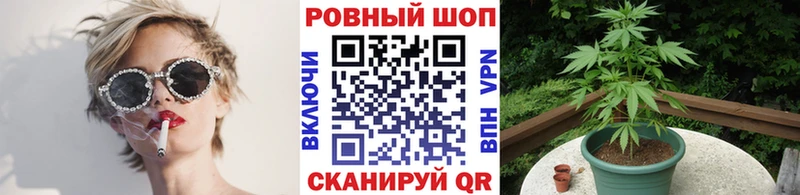 Где купить Муром Конопля  Alpha-PVP  Амфетамин  Меф мяу мяу  Псилоцибиновые грибы  ТГК  Гашиш 