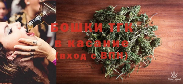 дмт Нягань