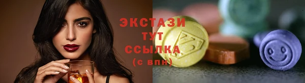 дмт Нягань