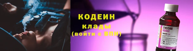 дмт Нягань
