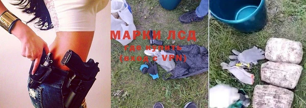 ПСИЛОЦИБИНОВЫЕ ГРИБЫ Осташков