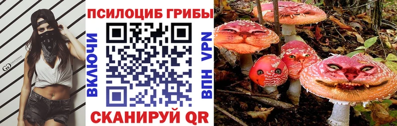 Галлюциногенные грибы мицелий наркотики Муром